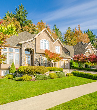 landscaping